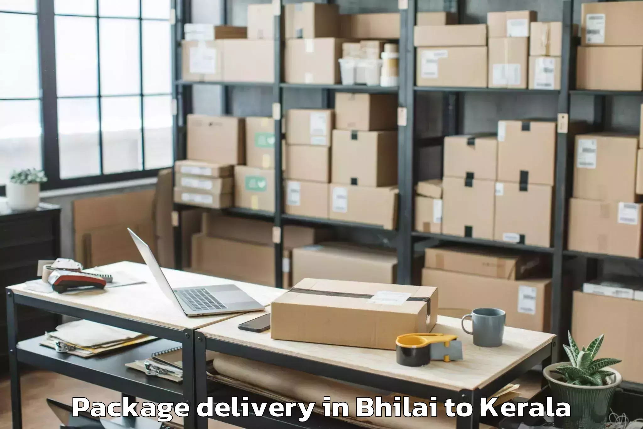 Professional Bhilai to Meenachil Package Delivery